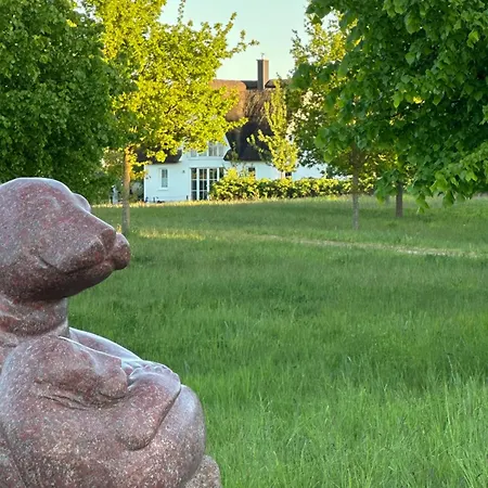 Arkonablick Eg, Helle Mit 2 Terrassen Und Eigenem Eingezaeuntem Garten Hunde Herzlich Willkommen Apartment *